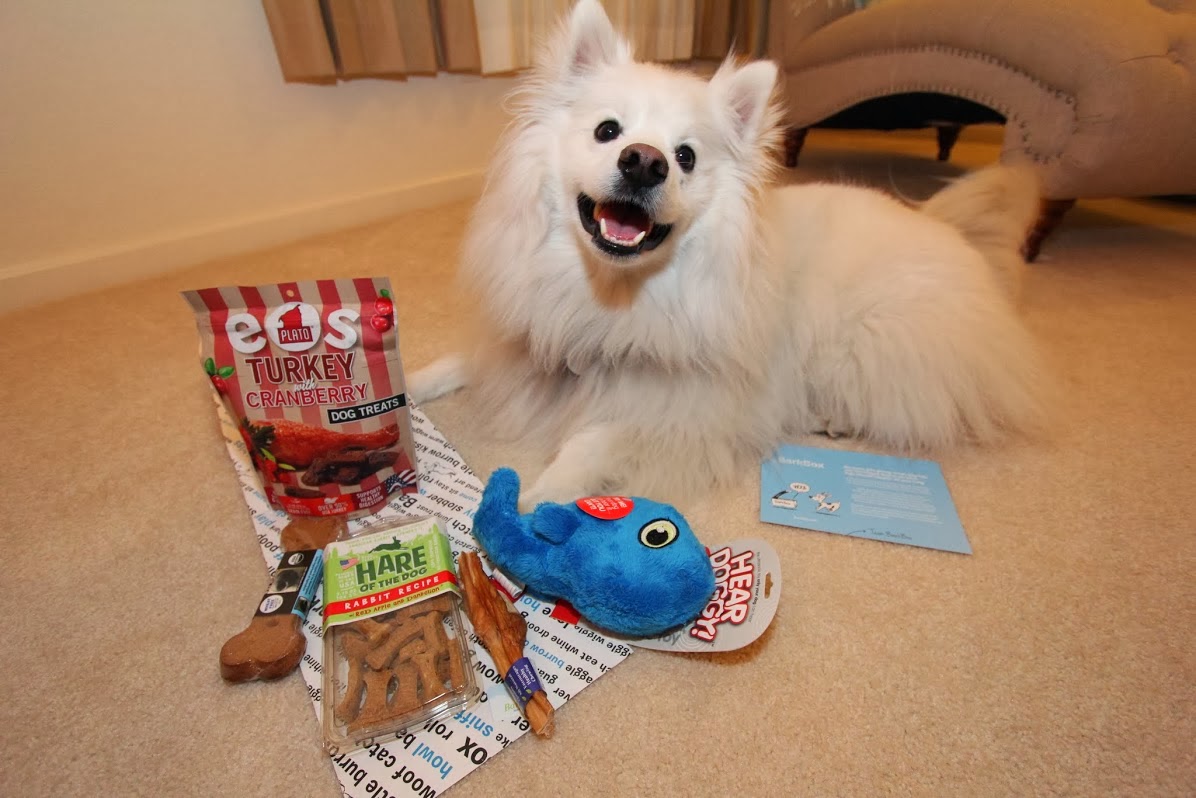 barkbox first month 1 foghlowery8’s blog